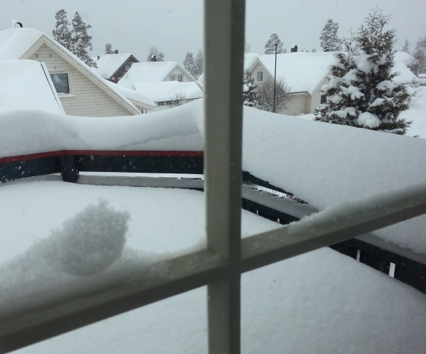 Snow-18-01-14