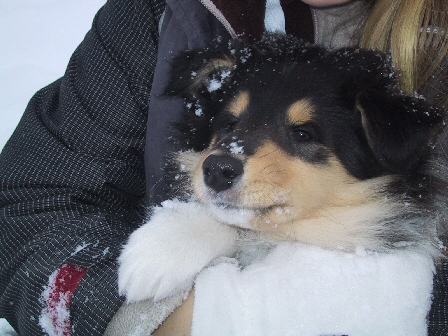 First Winter