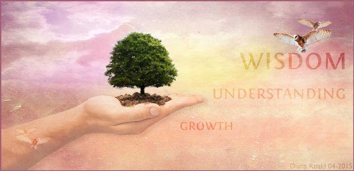 Wisdom leads to understanding and growth