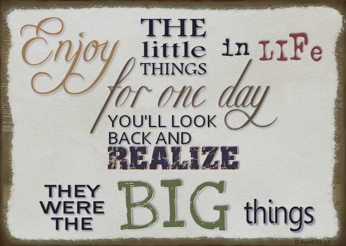 Enjoy little things diana roald 03-14