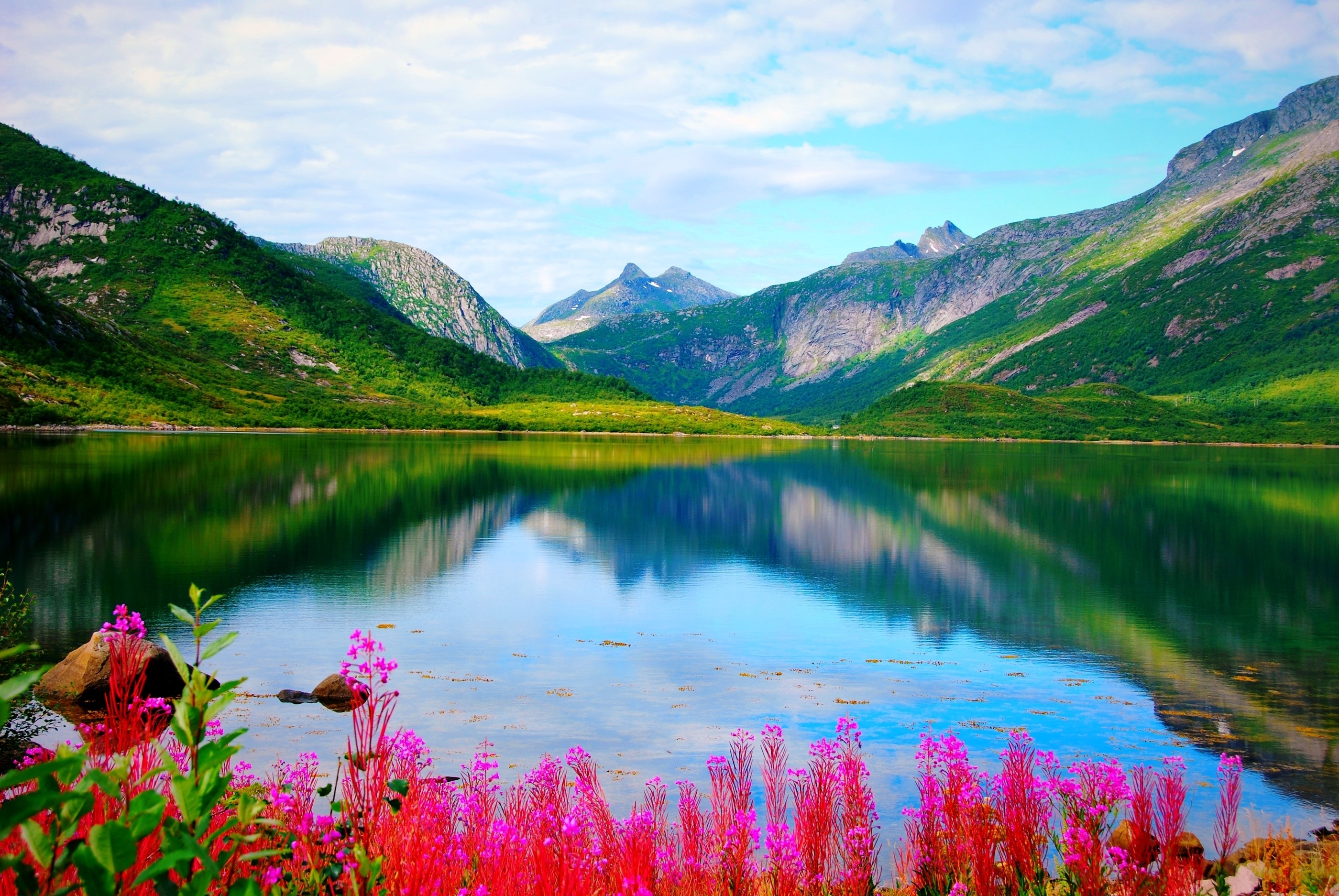 Vatterfjordpollen - Lofoten - Spring